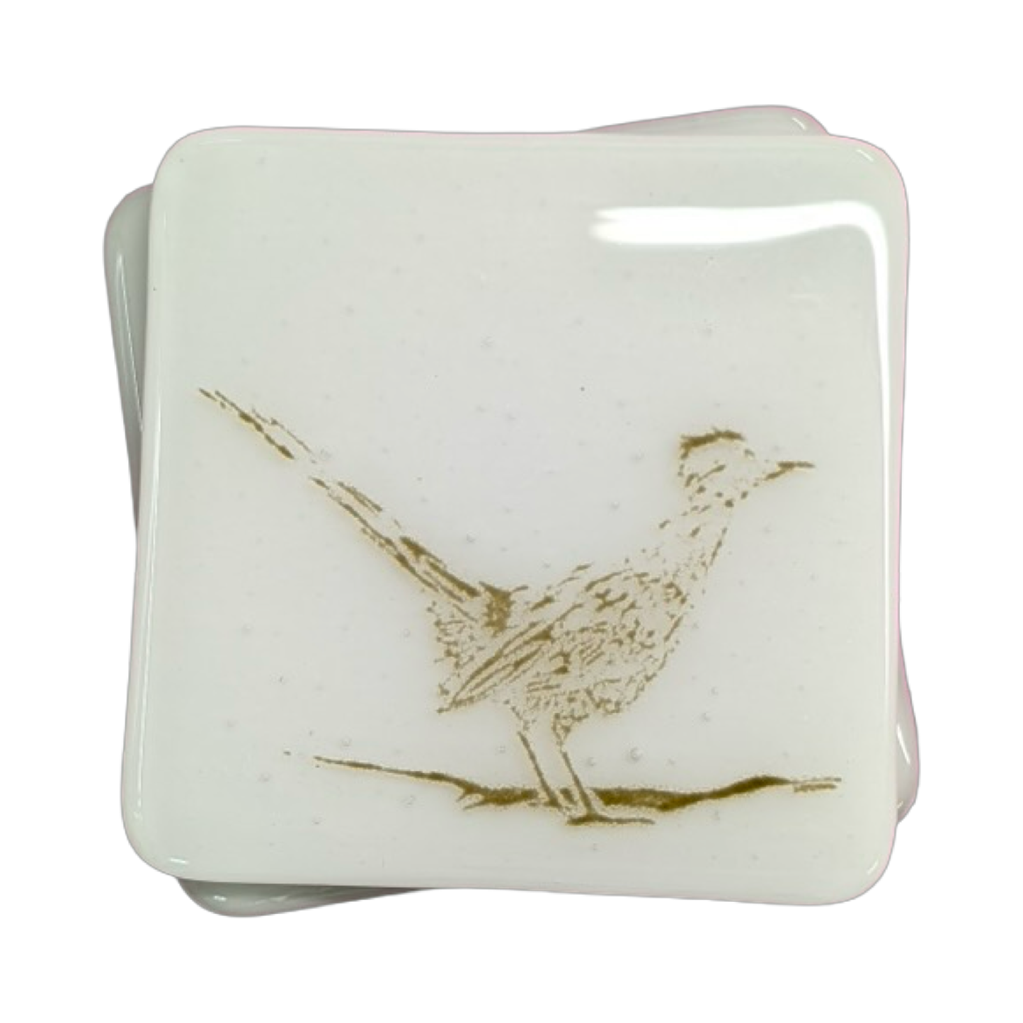 Roadrunner Coasters