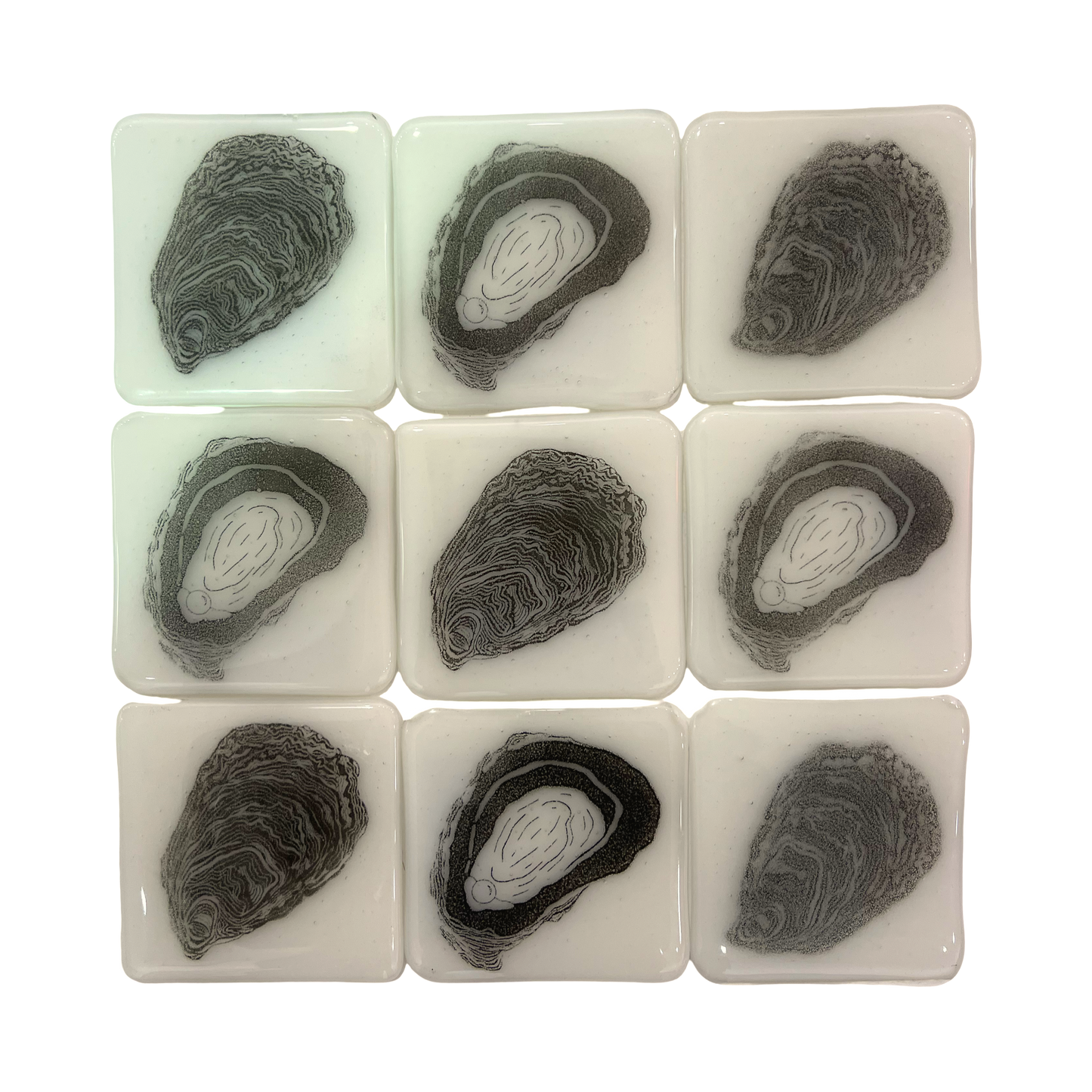 Oyster Coaster