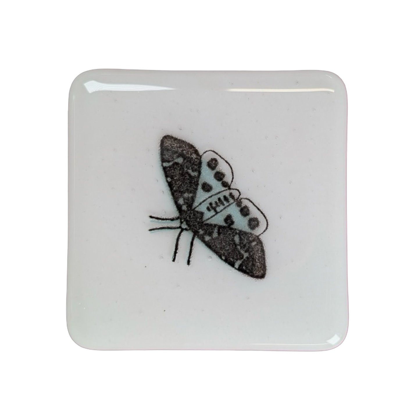 Blue Tiger Moth Coasters