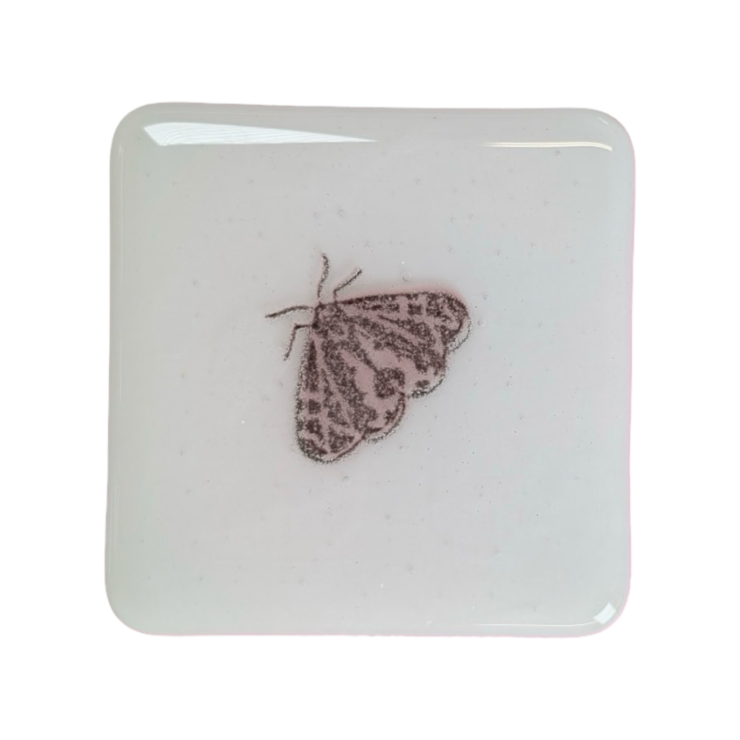 Little Pink Moth Coasters