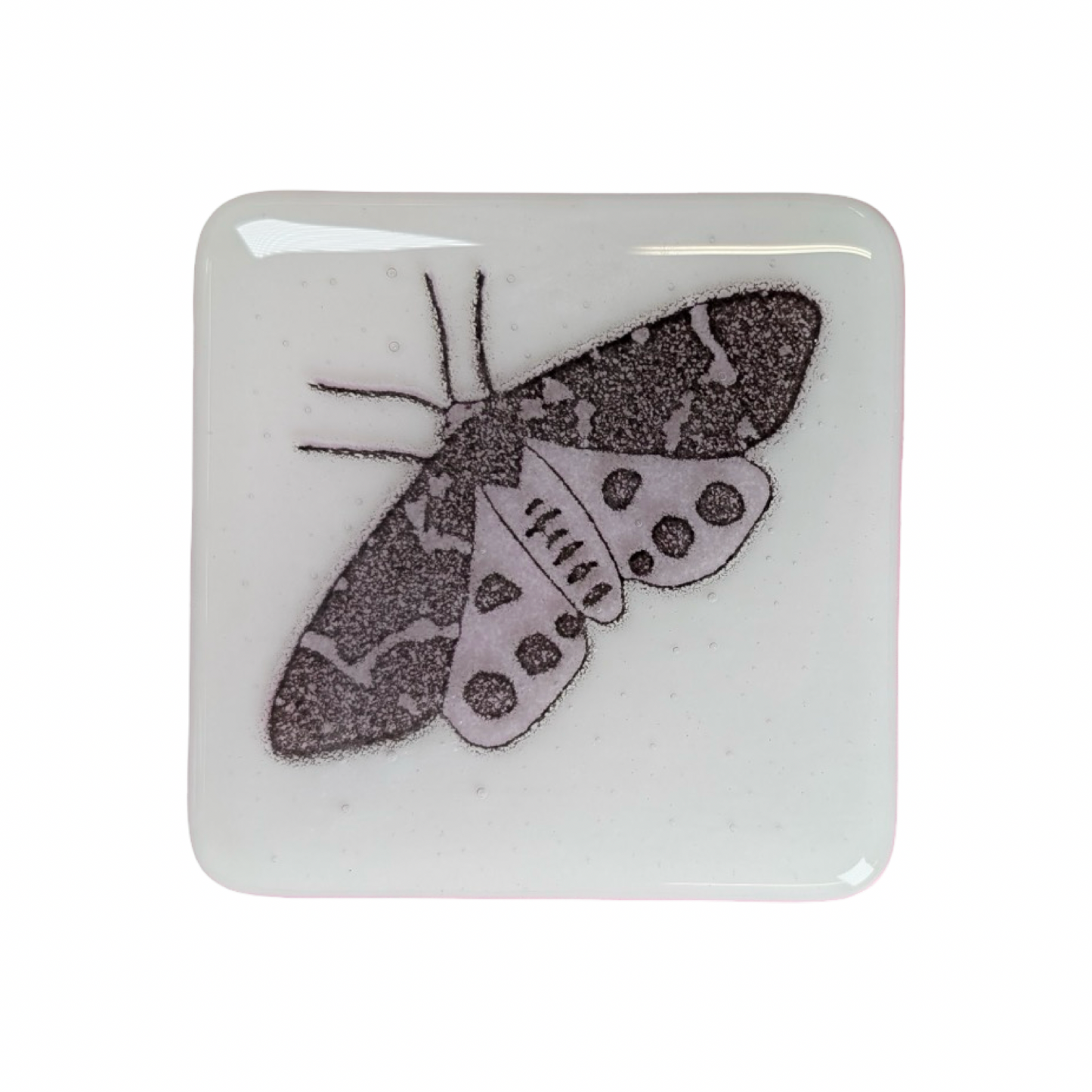 Purple Tiger Moth Coasters