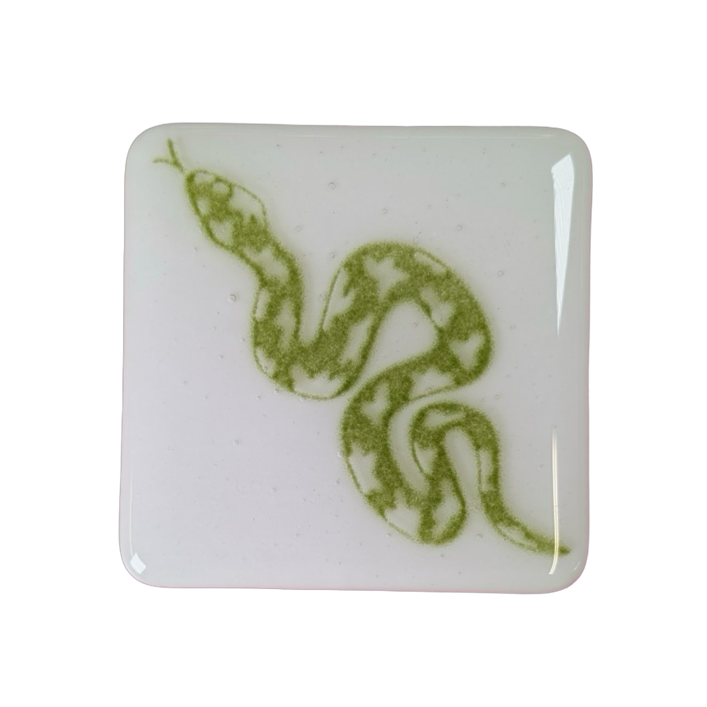 Slithering Snake Coaster