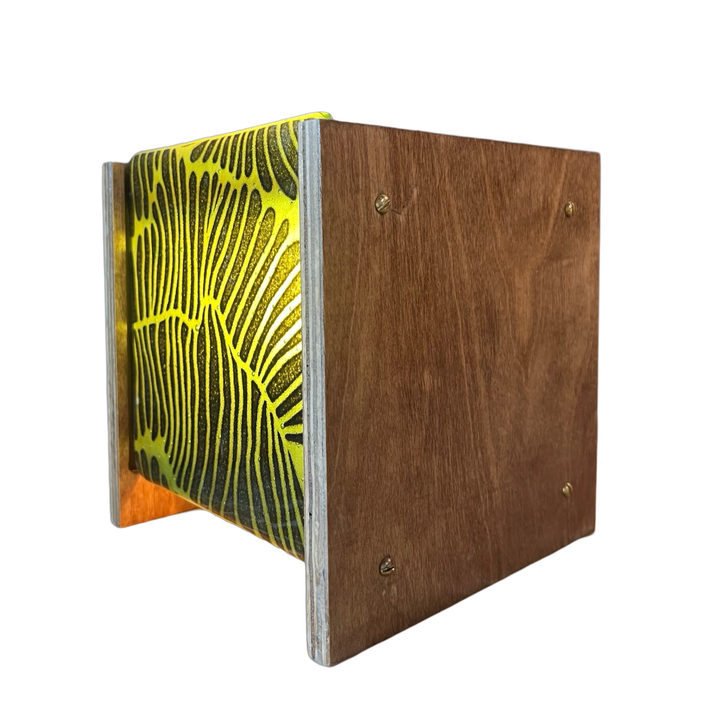 Moth & Fern 6" Story Light