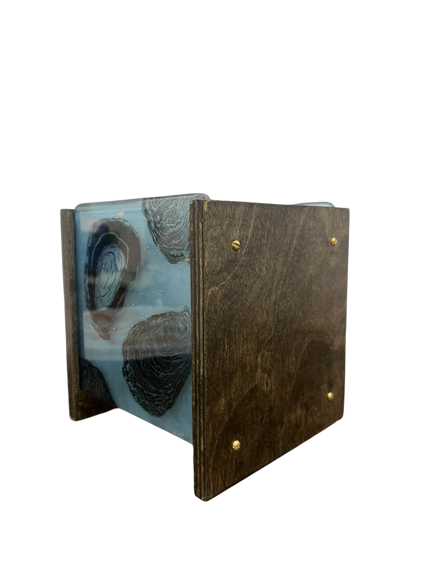 Blue Oyster 6" Story Light