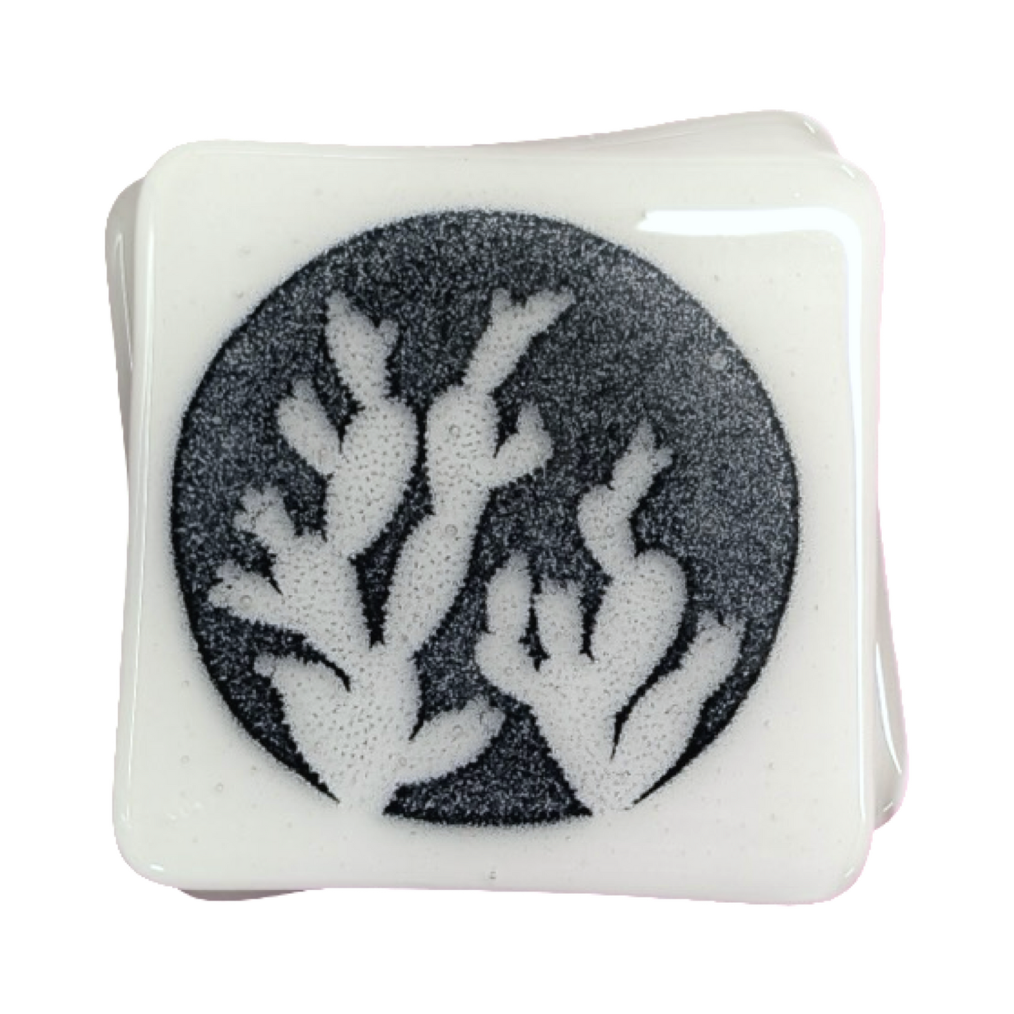 Cactus Coasters