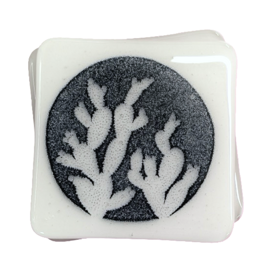 Cactus Coasters