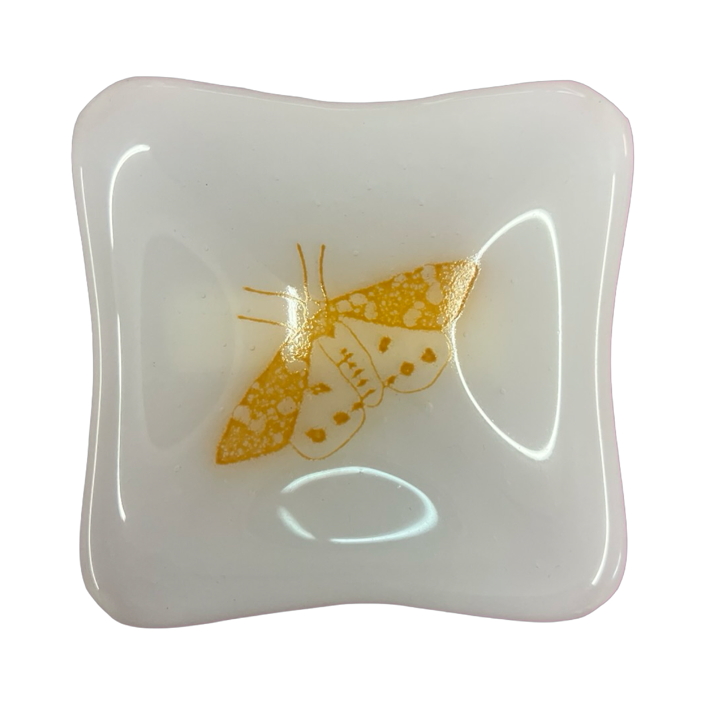 Tiger Moth Trinket Dish