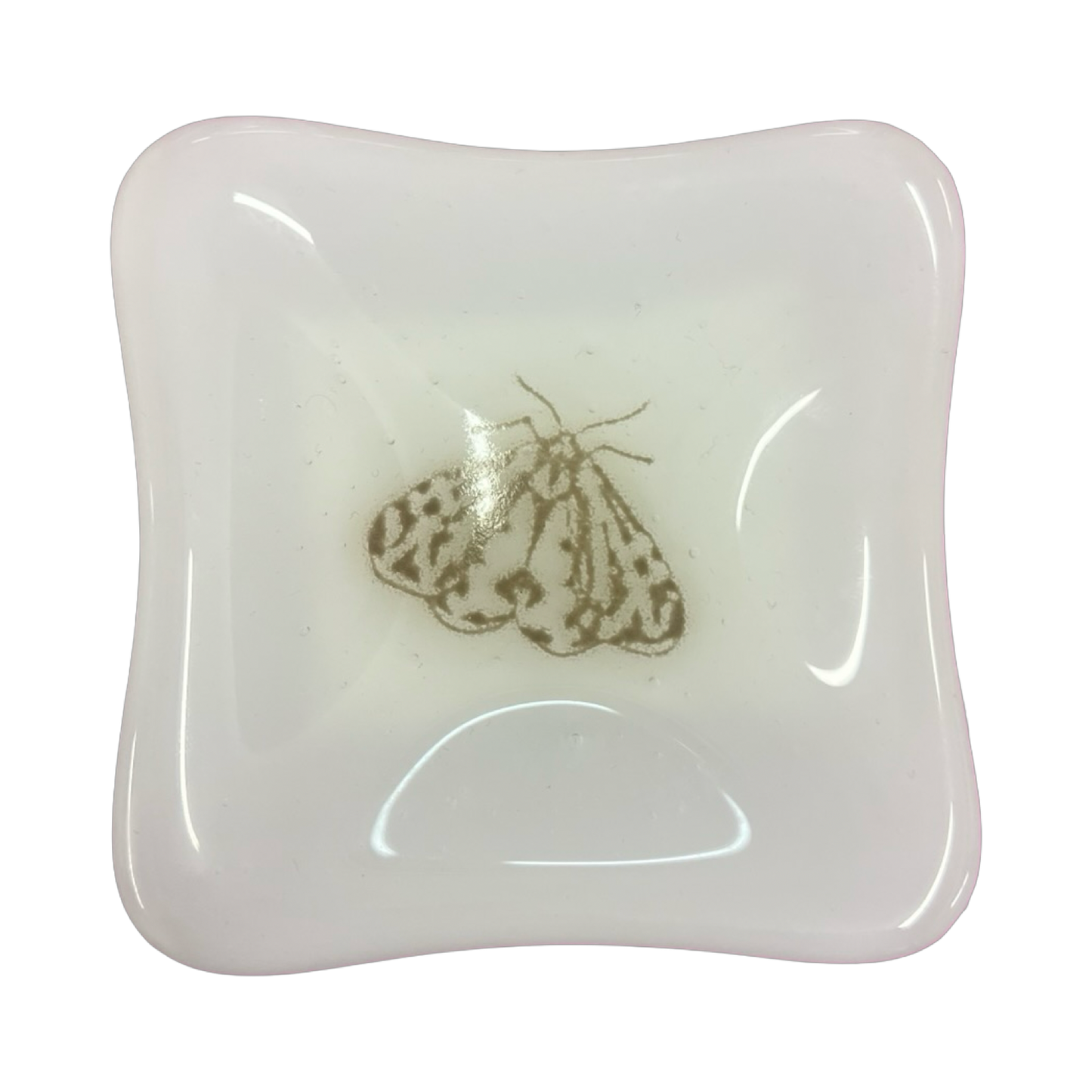 Little Ol' Moth Trinket Dish