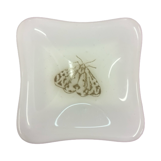 Little Ol' Moth Trinket Dish