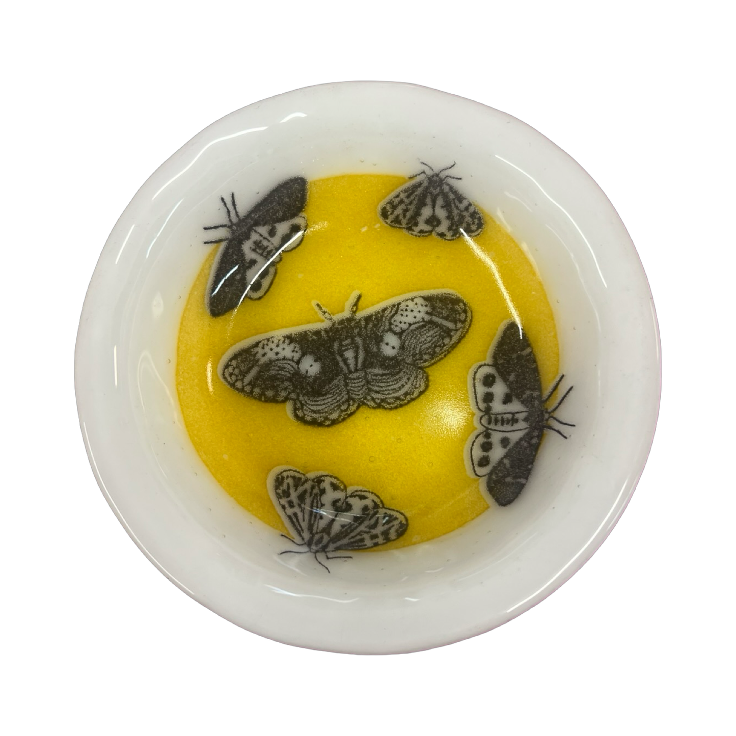 Moth Bowl