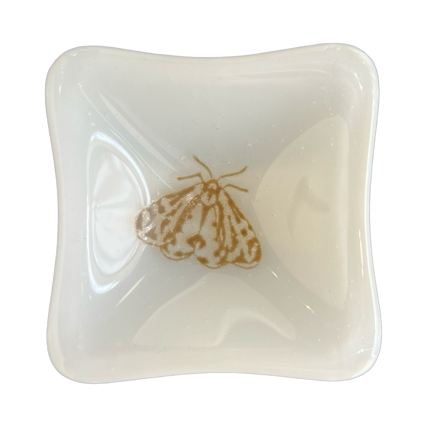 Little Ol' Moth Trinket Dish