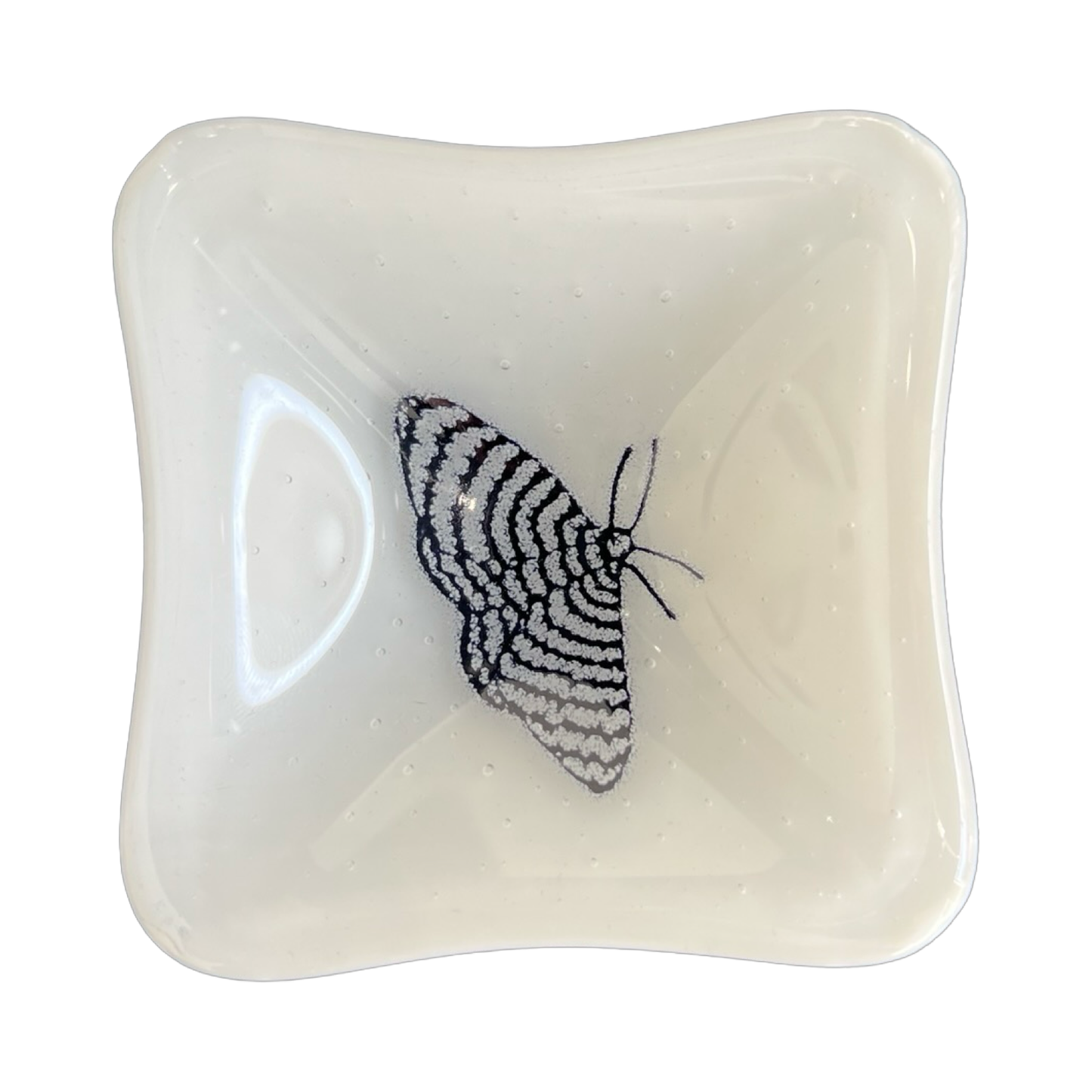 Zigzag Moth Trinket Dish