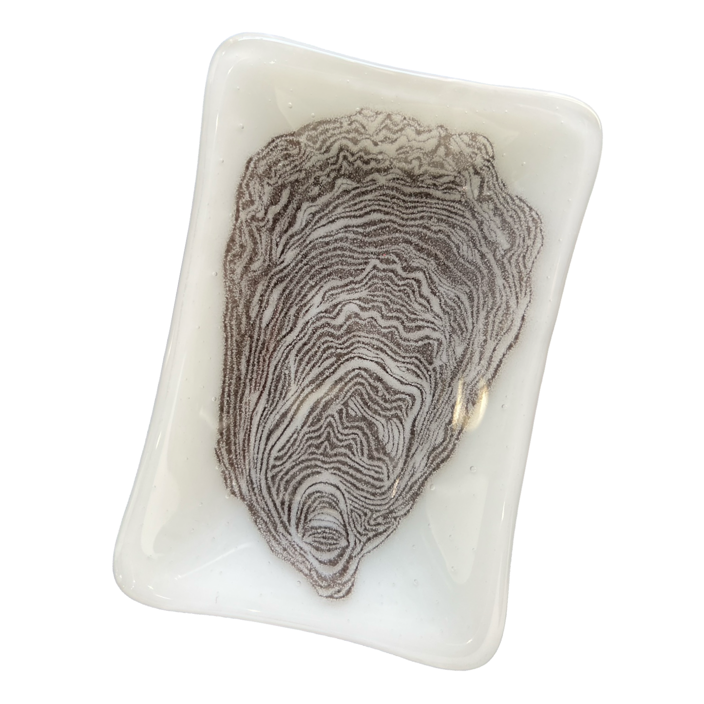 Closed Oyster Soap Dish