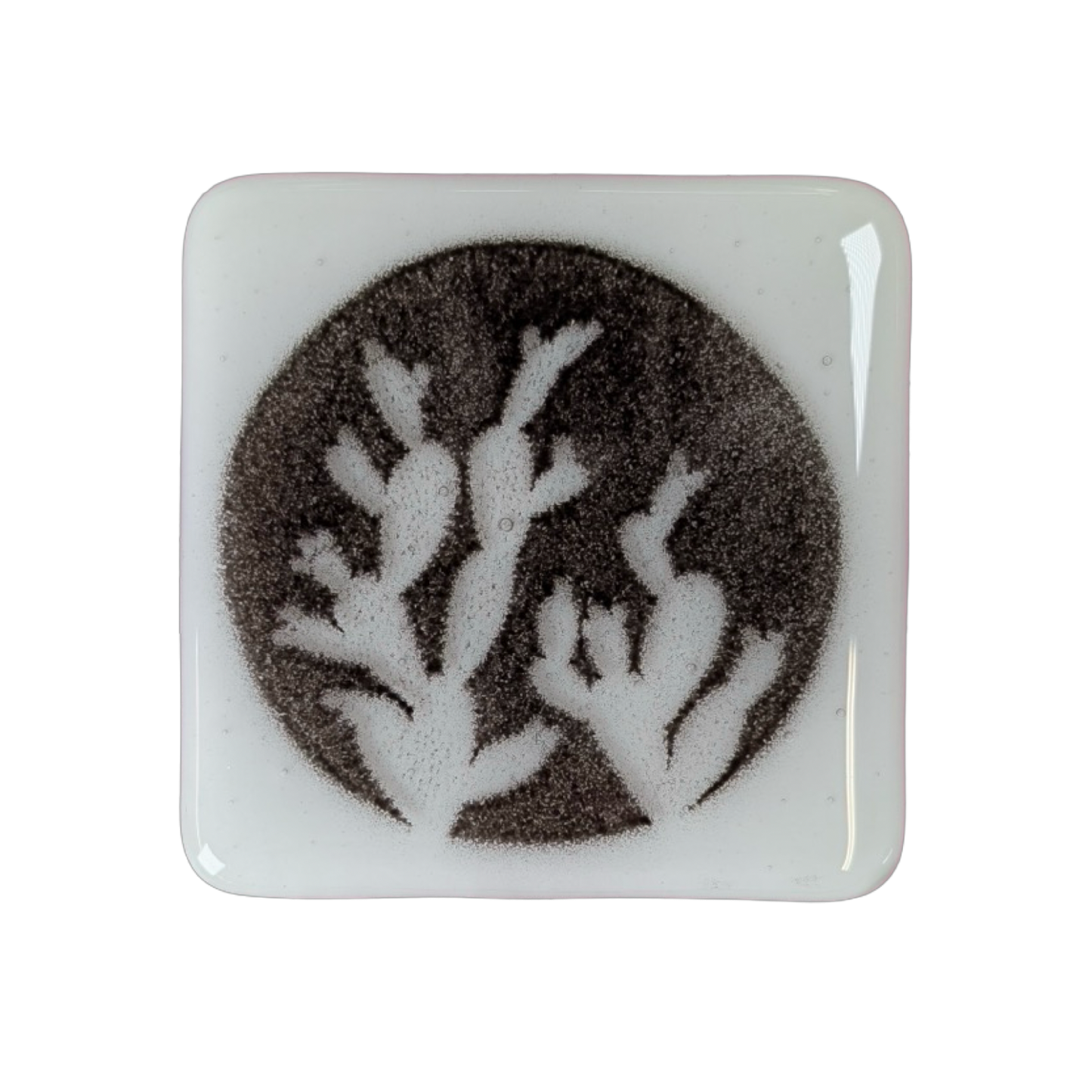Cactus Coasters