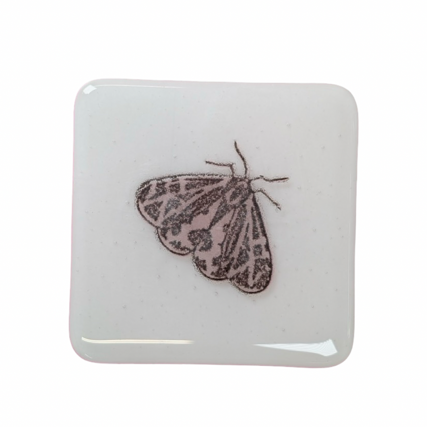 Medium Pink Moth Coasters