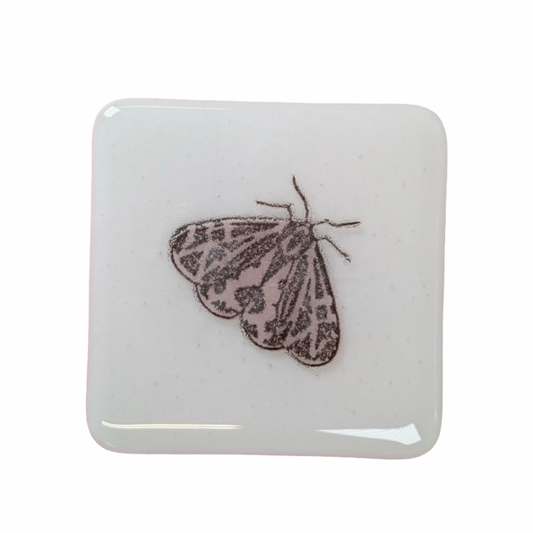 Medium Pink Moth Coasters