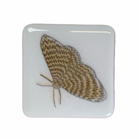 Large Amber Zig Zag Moth Coasters