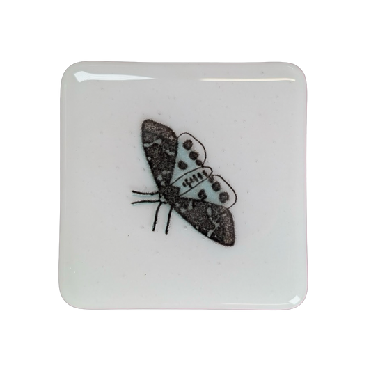Blue Tiger Moth Coasters