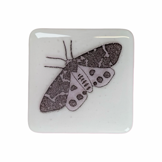 Purple Tiger Moth Coasters