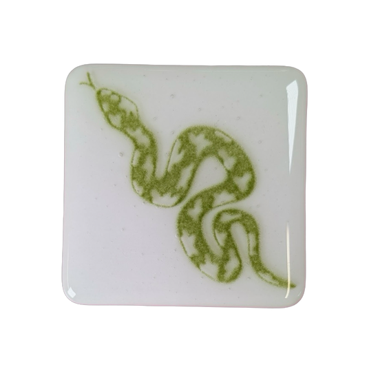 Slithering Snake Coaster