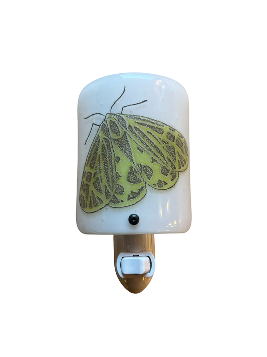 Big Ol' Green Moth Nightlight